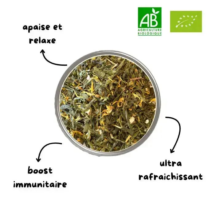 Coffret Découverte - infiuzinfiuz